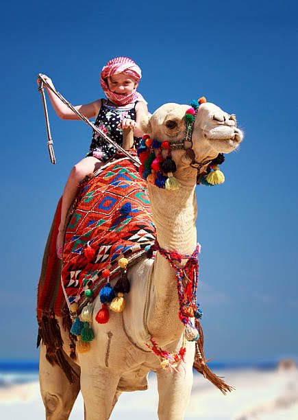 Camel Riding