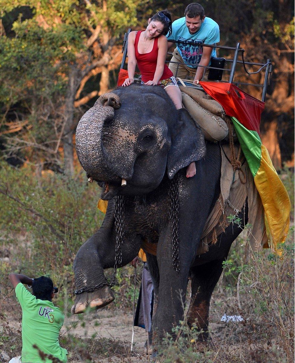 Elephant Riding  for wedding in Pandav Nagar